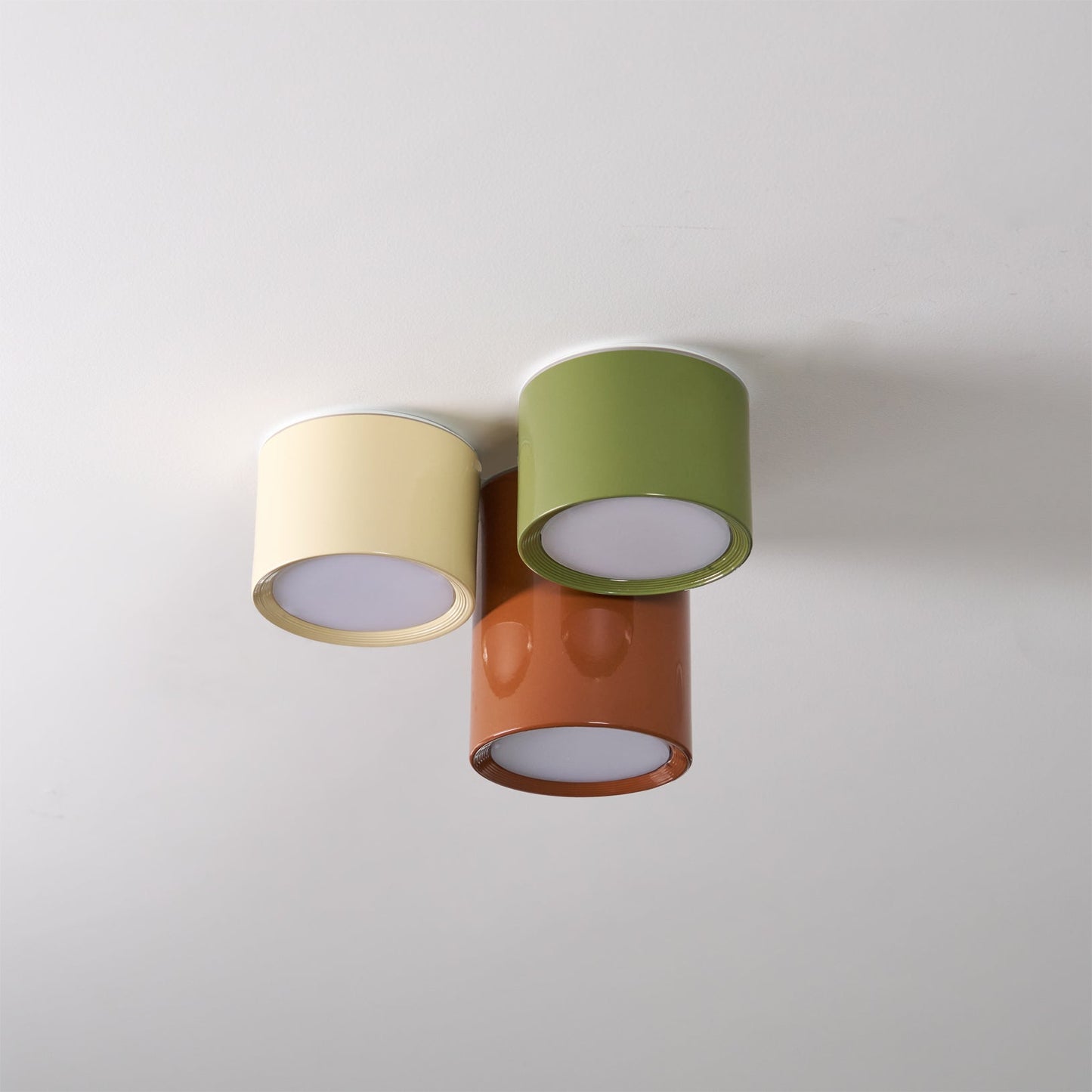 Asher Combination Ceiling Light