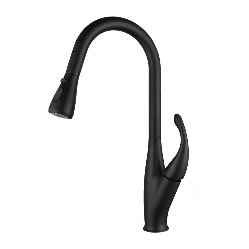 Winslow Victorian Pull-Out Kitchen Faucet — Matte Black finish, angled view | Casa Norex