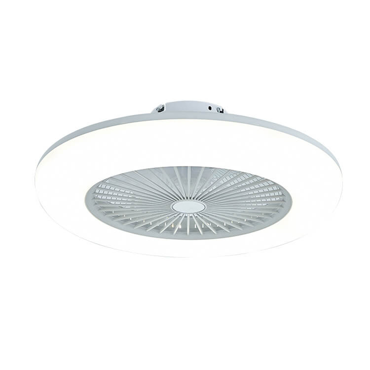 Modern Acrylic Ceiling Fan 1-Light LED Semi-Flush Mount Lighting