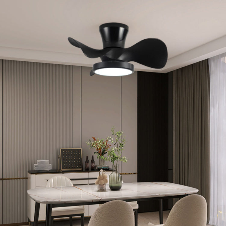 Close-up of wood grain texture on acrylic ceiling fan blade | Casa Norex
