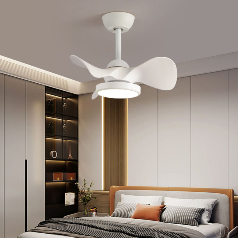 Four-finish ceiling fan light in Walnut + Black finish — alternate angle | Casa Norex