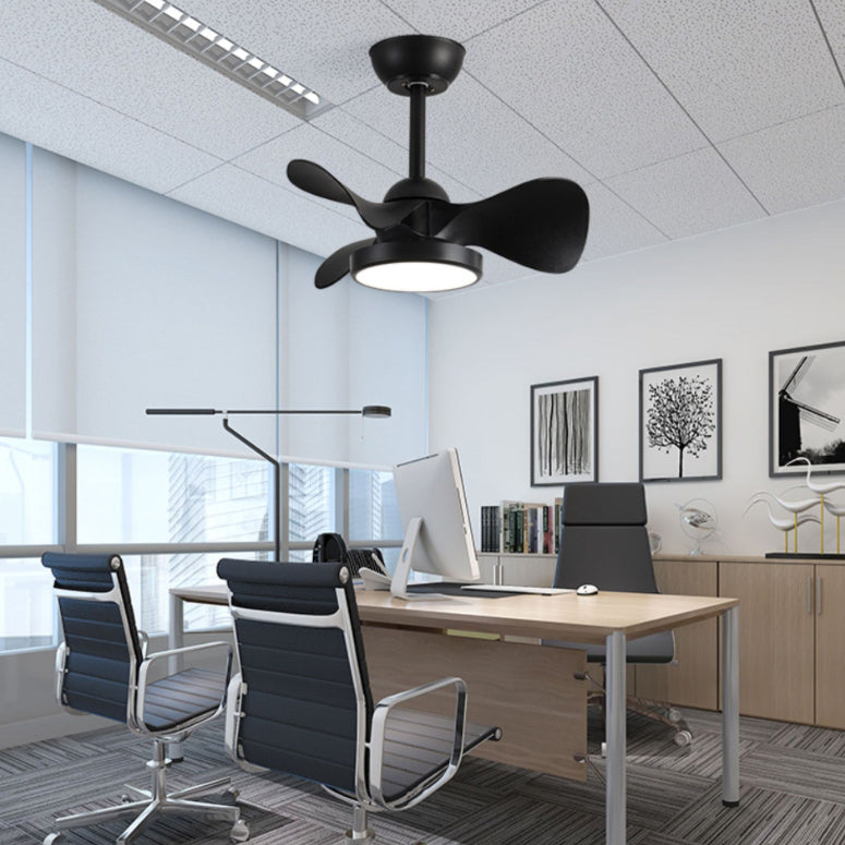 Close-up of round acrylic diffuser on four-finish ceiling fan light | Casa Norex