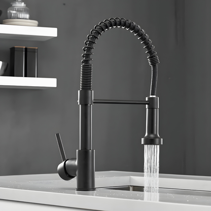 Halmstad - Single Hole Pre-Rinse Pull-Down Sprayer Spring Spout Kitchen Faucet