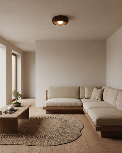 Zuwa Ceiling Light