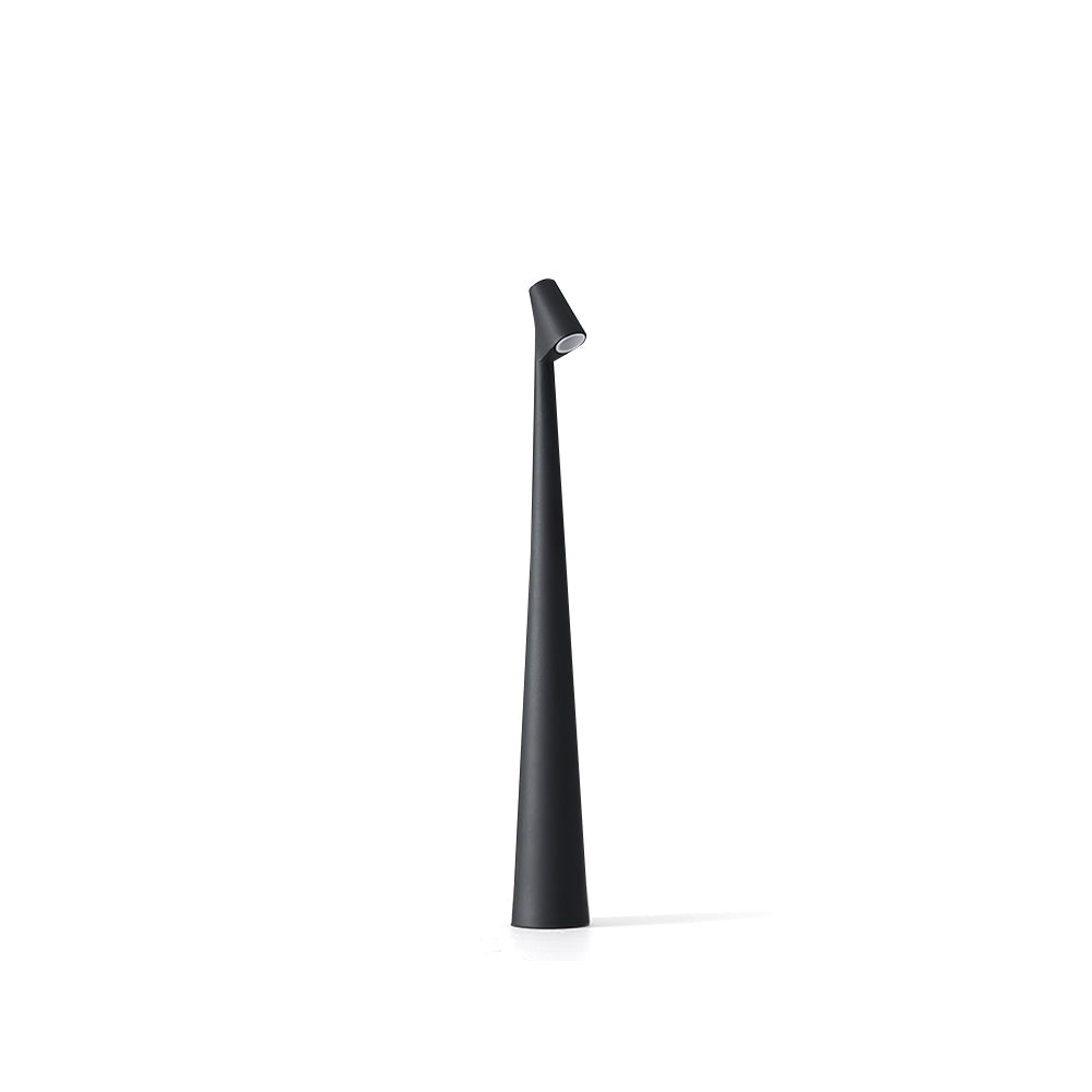 Africa Built-in Battery Table Lamp