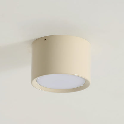 Asher Ceiling Light