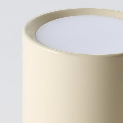 Asher Ceiling Light