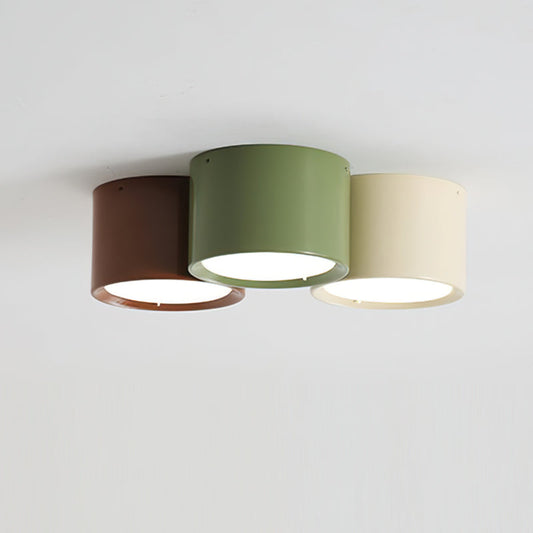 Asher Combination Ceiling Light