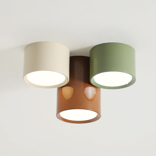 Asher Combination Ceiling Light