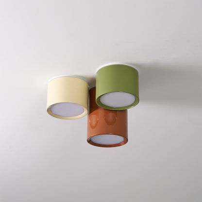 Asher Combination Ceiling Light