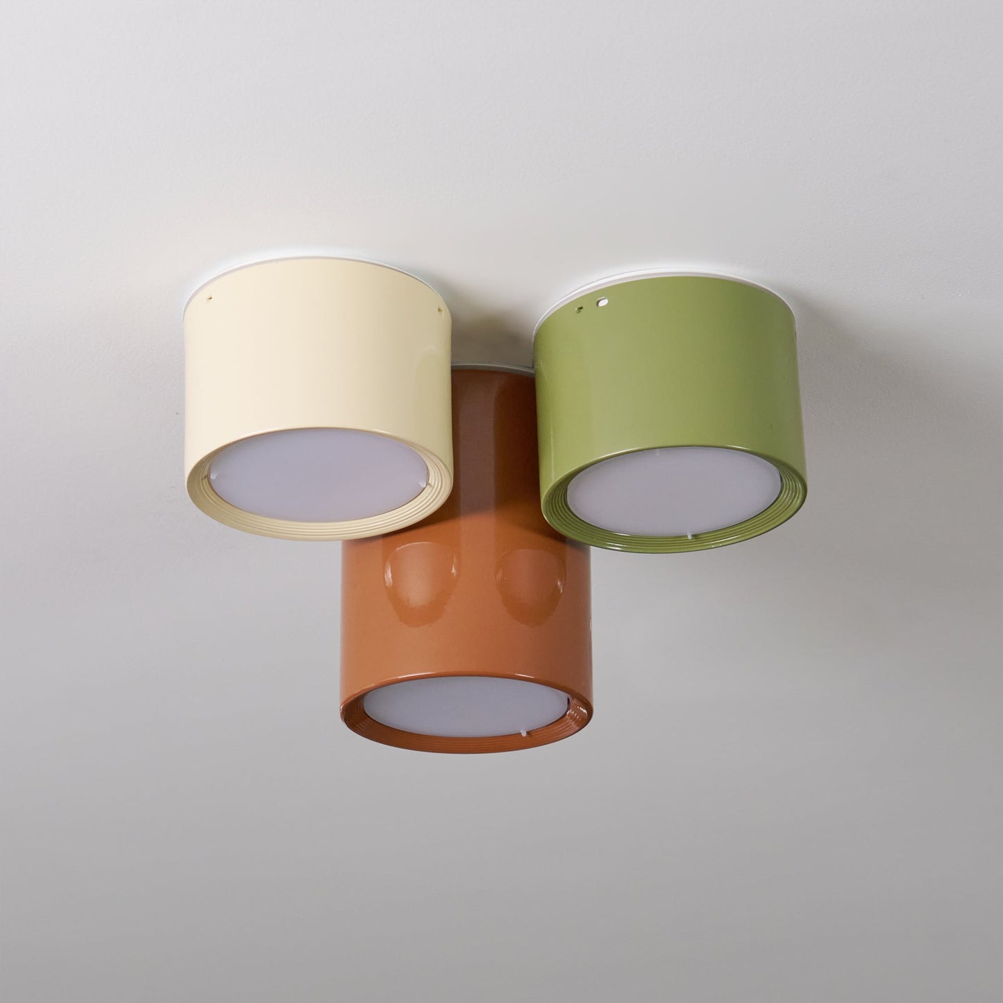 Asher Combination Ceiling Light