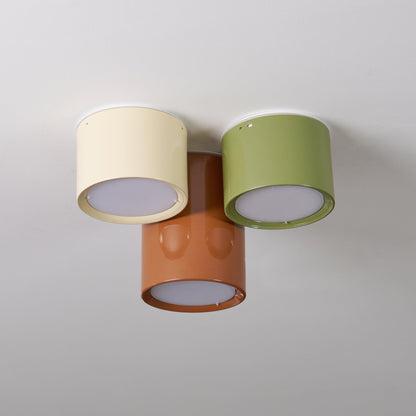 Asher Combination Ceiling Light