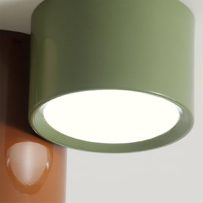 Asher Combination Ceiling Light