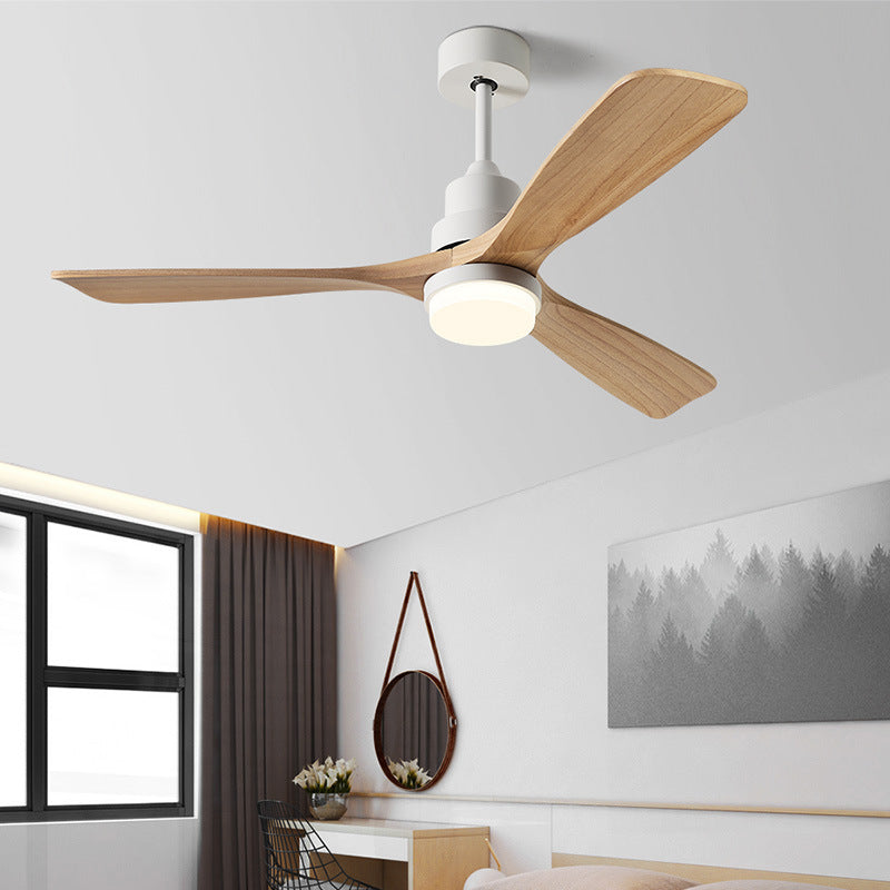 Ceiling fan light in Nordic living room setting — chain mount, warm white glow | Casa Norex
