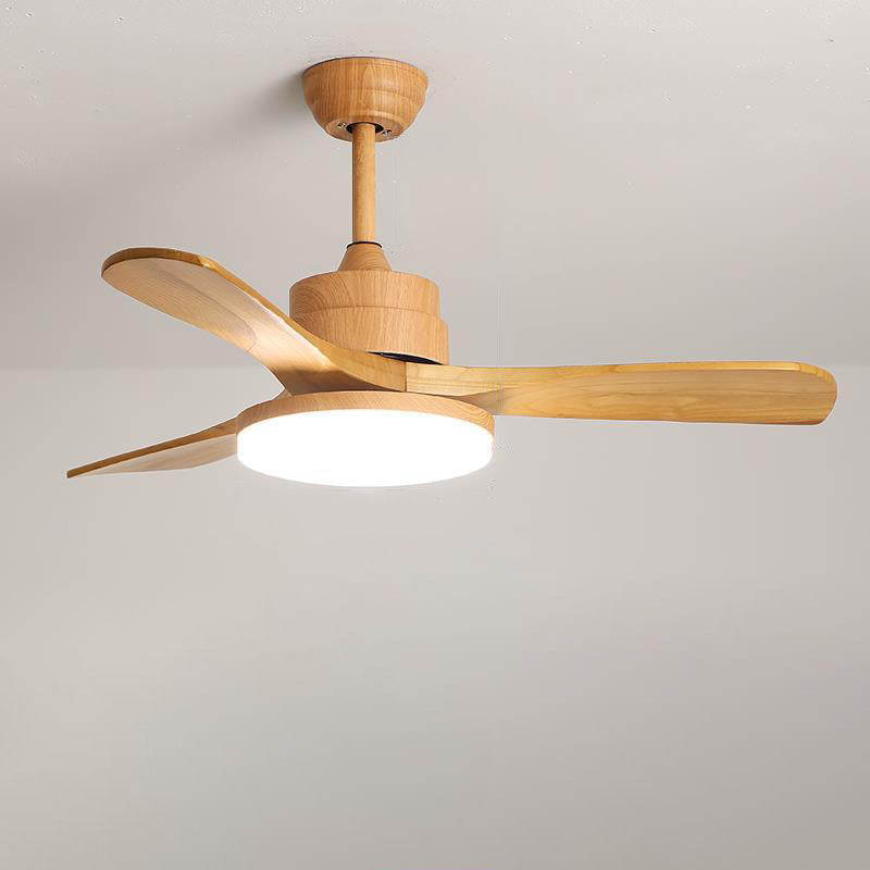 Marra ceiling fan light three-blade underside detail — Casa Norex