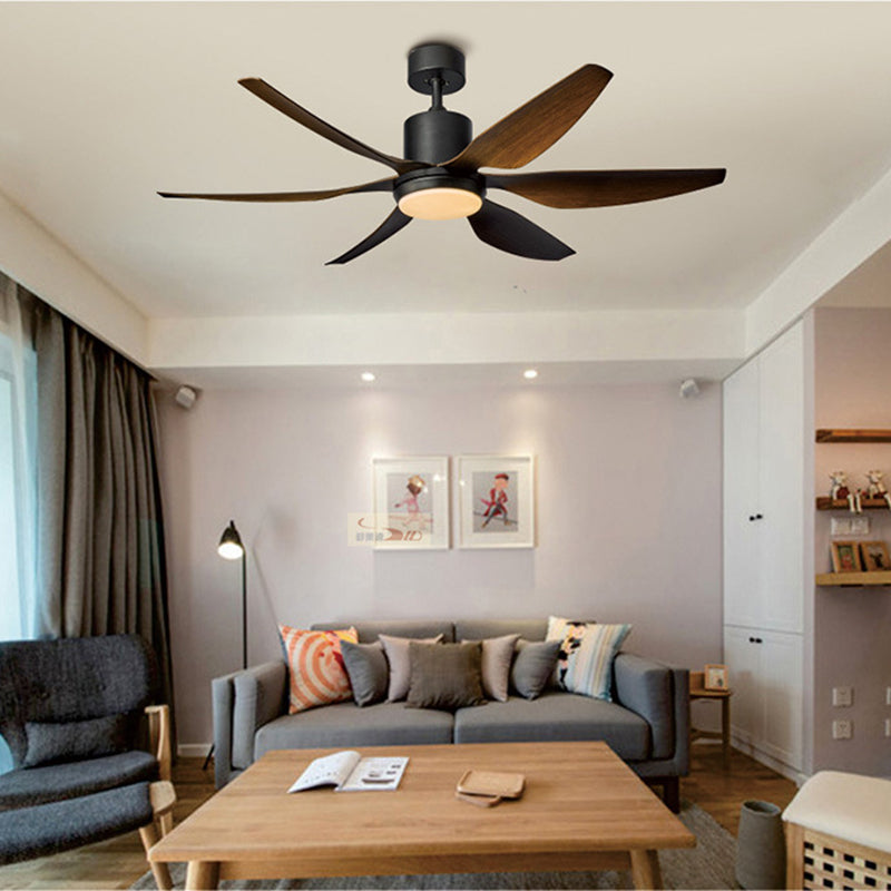 Marlow ceiling fan light in Black finish with copper accents — Casa Norex