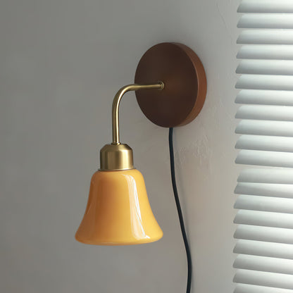 Brushed brass gooseneck and glass shade detail - Daphne wall sconce