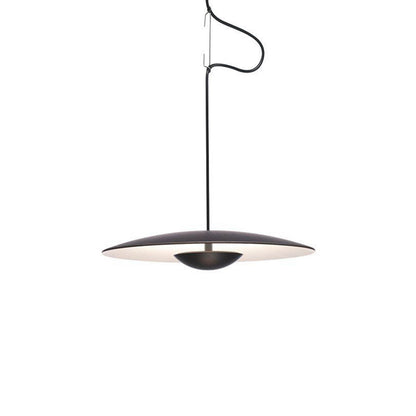 Ginger Pendant light