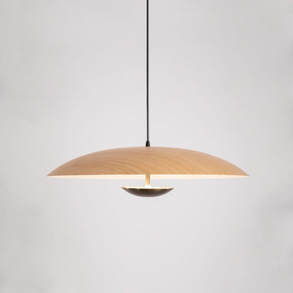 Ginger Pendant light
