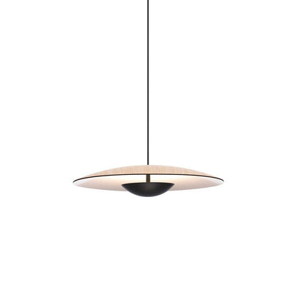 Ginger Pendant light