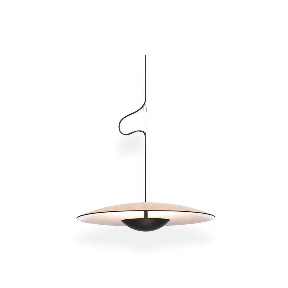 Ginger Pendant light