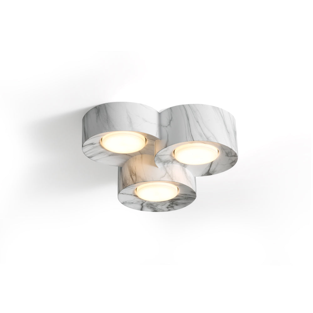 Loris Ceiling Light
