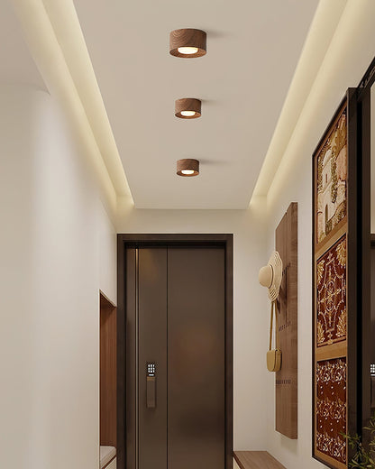 Loris Ceiling Light