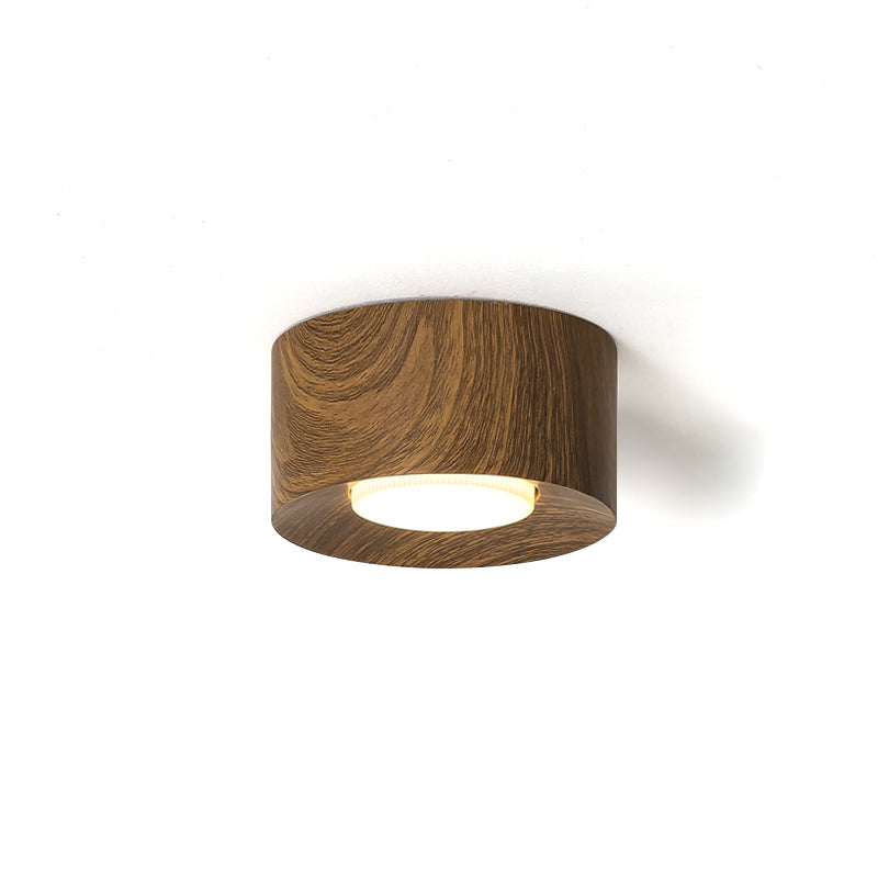 Loris Ceiling Light