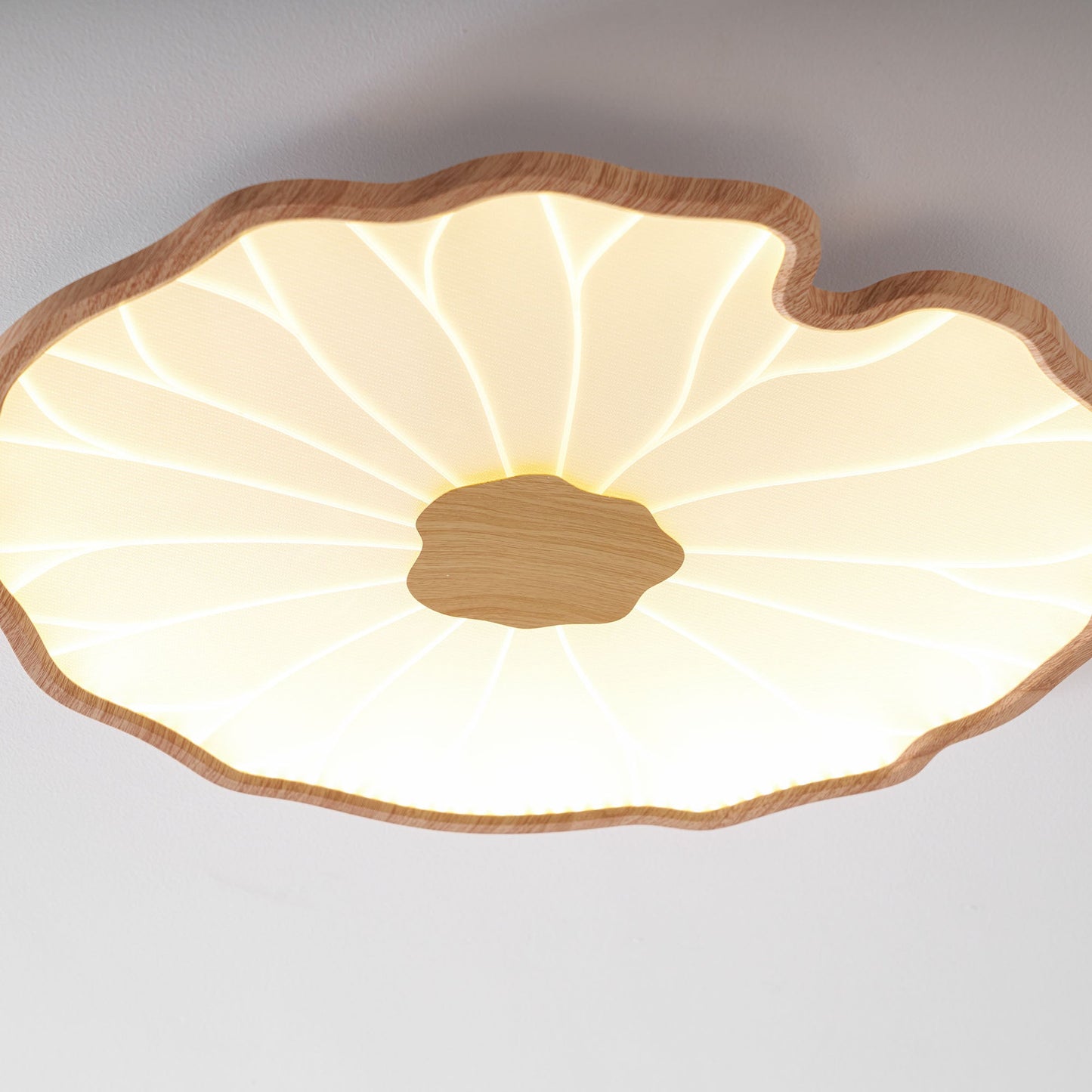 Lotus Leaf Acrylic Ceiling Lamp