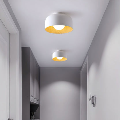 Compact accent ceiling light dimensions — Casa Norex