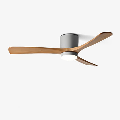DC motor ceiling fan light detail — Casa Norex