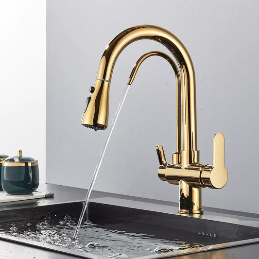 Wellspring Kitchen Faucet countertop view — Glossy Gold finish — Casa Norex