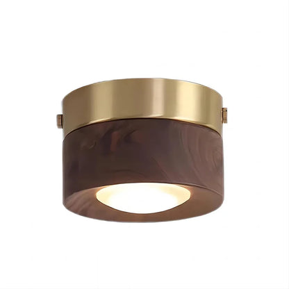 Ceiling spotlight installed in a hallway
