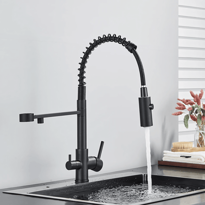 Ashgrove 3-Way Filtered Pull-Down Kitchen Faucet — braided pull-down hose, angled view | Casa Norex