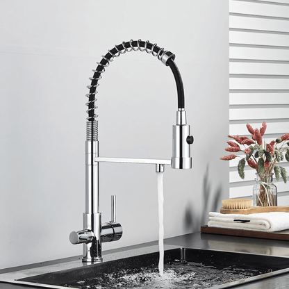 Ashgrove 3-Way Filtered Pull-Down Kitchen Faucet — 5 available finishes, angled view | Casa Norex