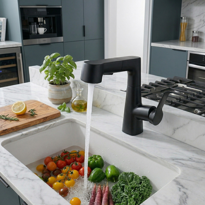 Rivermist 360° Pull-Out Kitchen Faucet — premium stainless steel body | Casa Norex