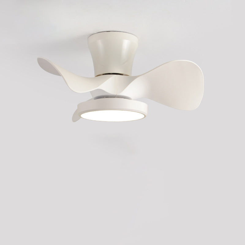 Rowan ceiling fan light mounted in living room ceiling — Casa Norex