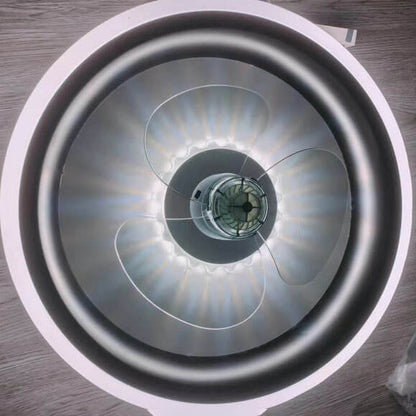 Simple Modern Acrylic Lightweight LED Flush Mount Fan Light