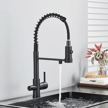 Ashgrove 3-Way Filtered Pull-Down Kitchen Faucet — 5 available finishes | Casa Norex