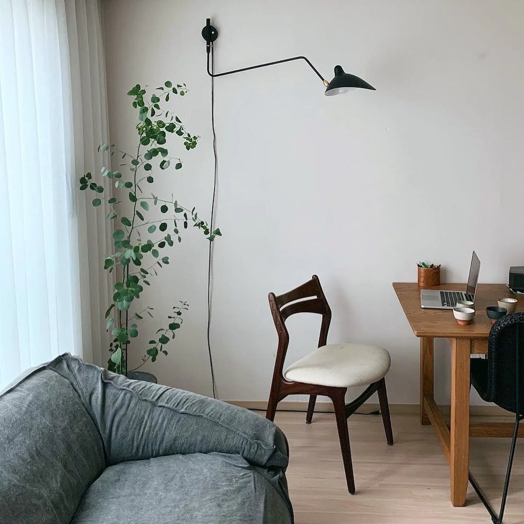 Multi Arm Spider Plug In Wall Lamp