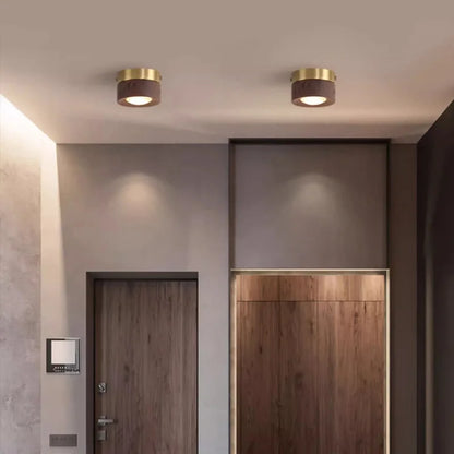 Ceiling spotlight glowing warm white light