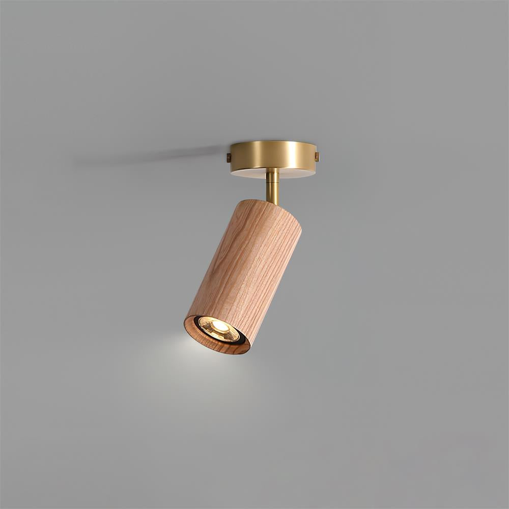 Brass adjustable arm close-up - Thio wooden track lighting by Casa Norex