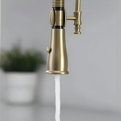 Ironvale Industrial Pull-Down Kitchen Faucet
