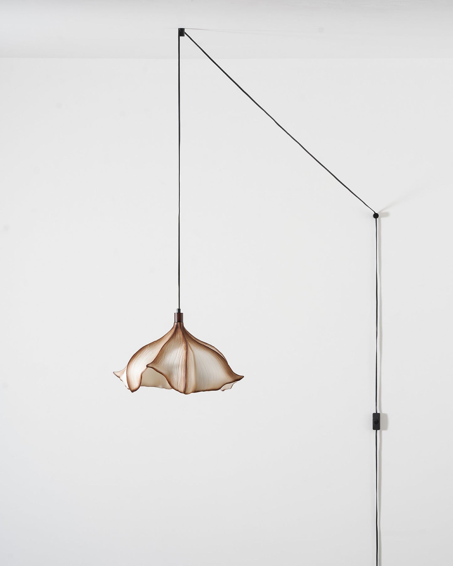 Viscontea Swag Lights