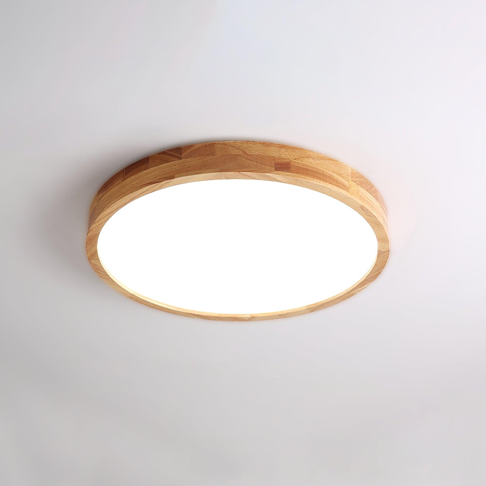 Ceiling light in modern living room setting - flush mount | Casa Norex