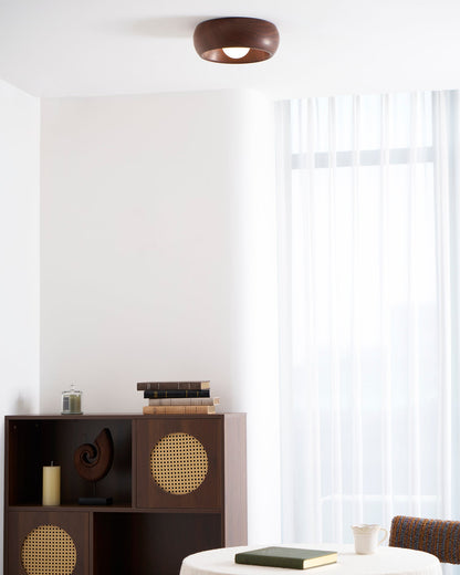 Zuwa Ceiling Light