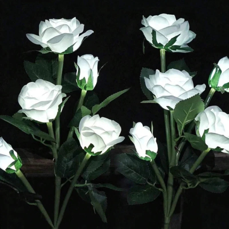 White rose stake lights glowing against a dark background — Casa Norex