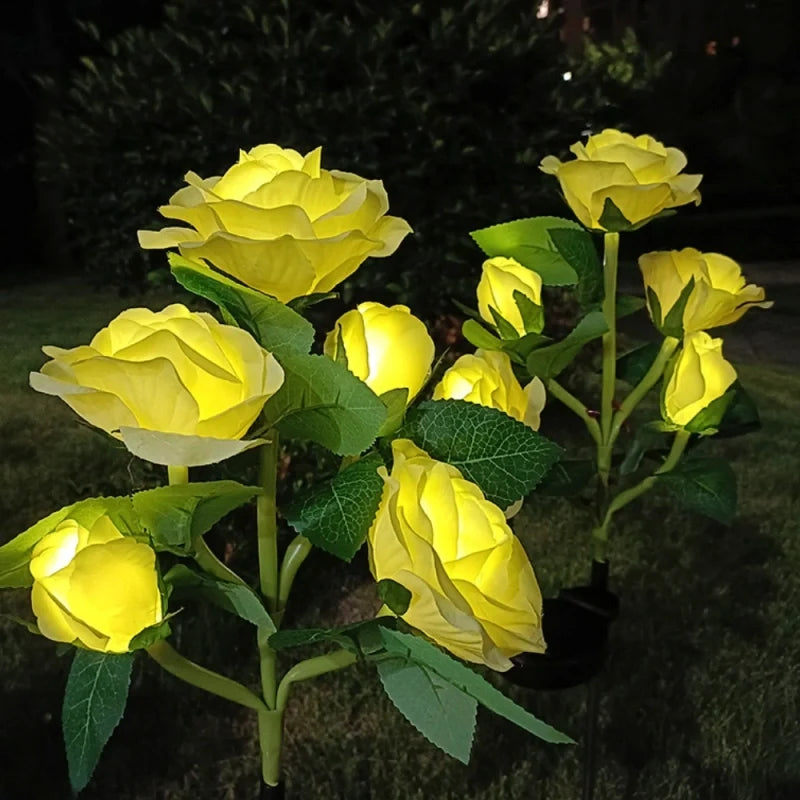 Yellow rose stake lights glowing on a lawn at dusk — Casa Norex