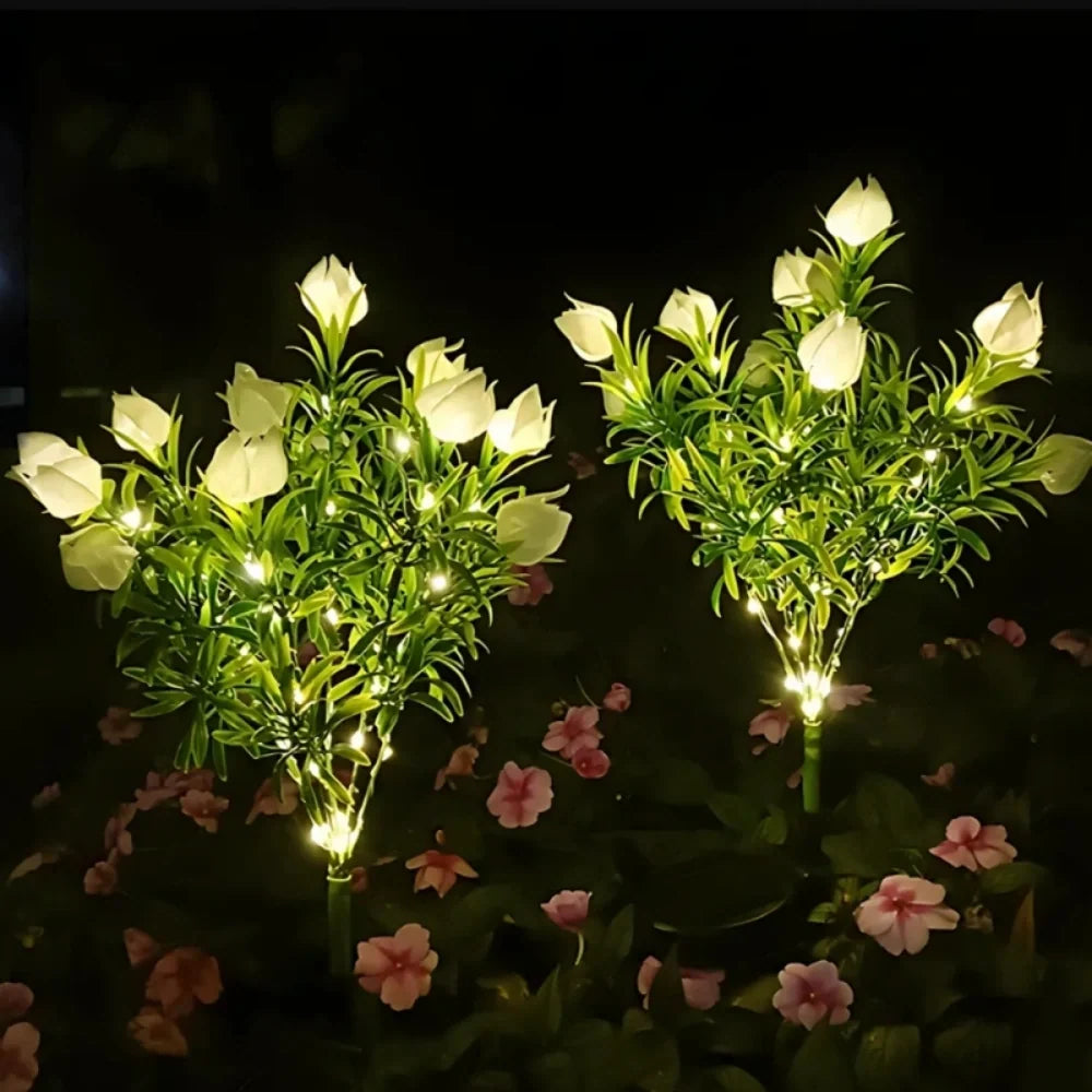 Two bunches of warm white flower stake lights glowing in a dark garden — Casa Norex