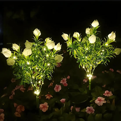 Two bunches of warm white flower stake lights glowing in a dark garden — Casa Norex